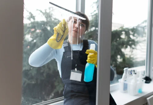 Nettoyage de vitres intérieures et extérieures à Planay